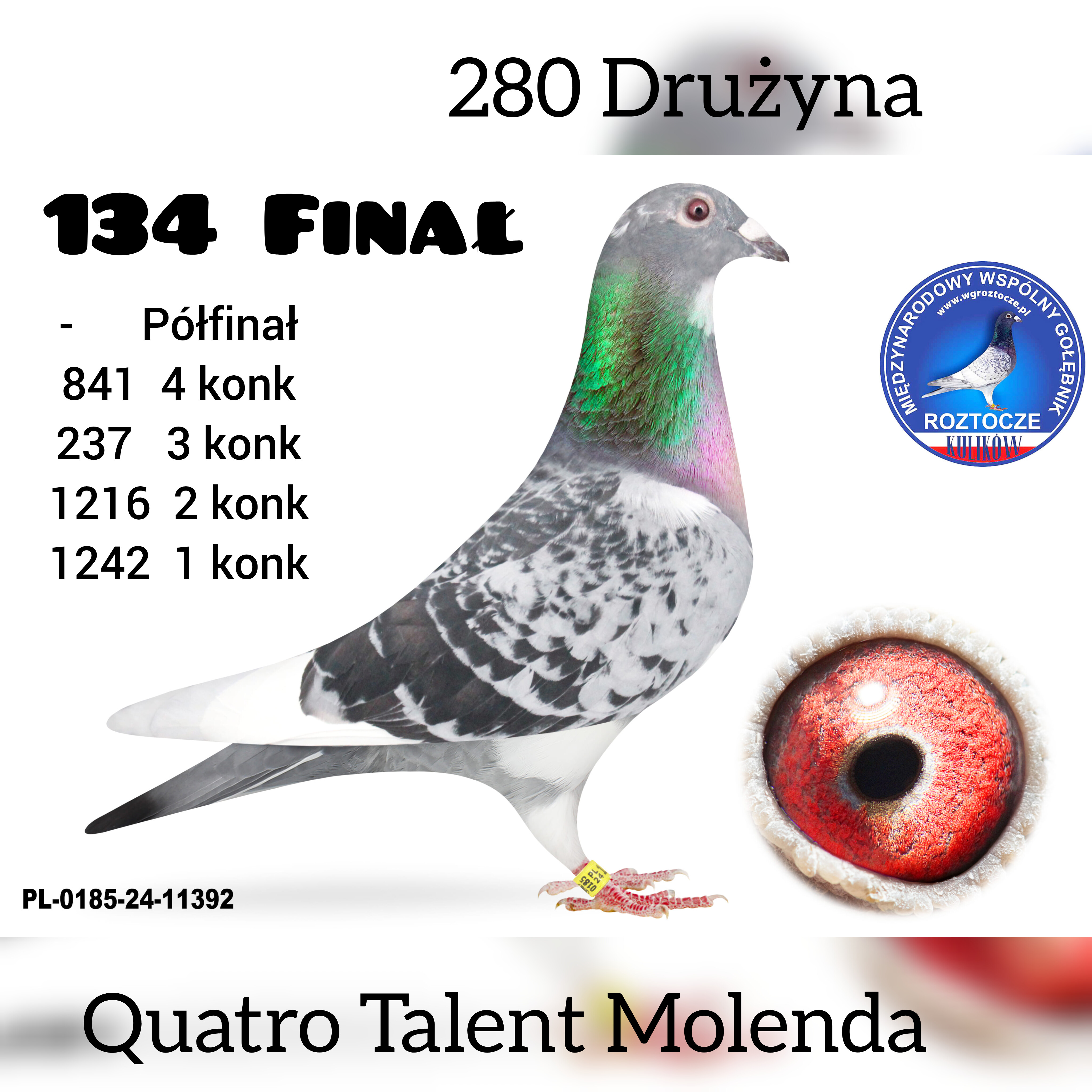 134 Z FINAŁU QUATRO TALENT MOLENDA MARCIN