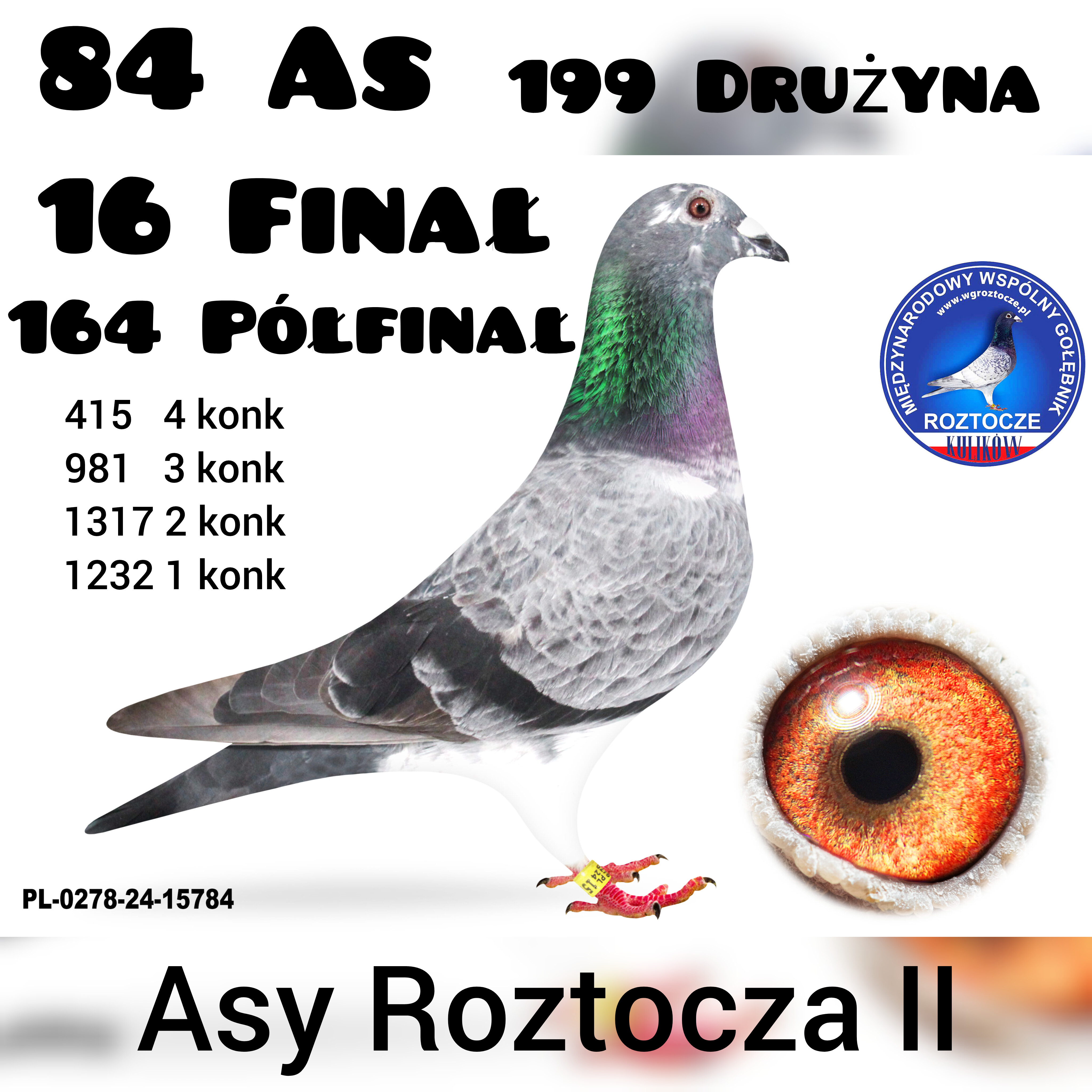 16 z FINAŁU 84 AS  ASY ROZTOCZA