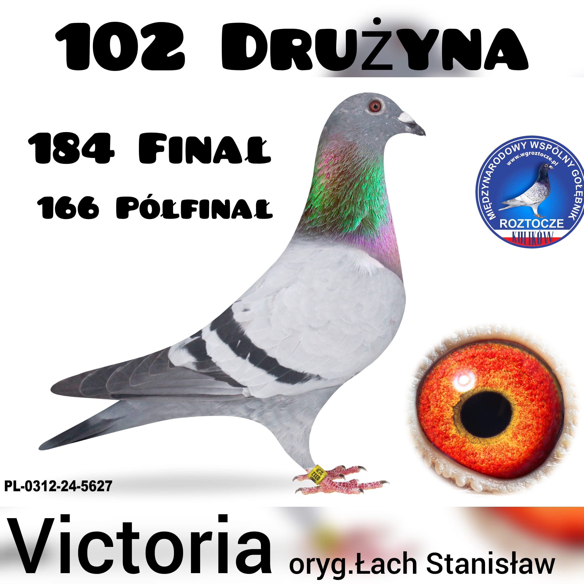 184 z FINAŁU VOCTORIA