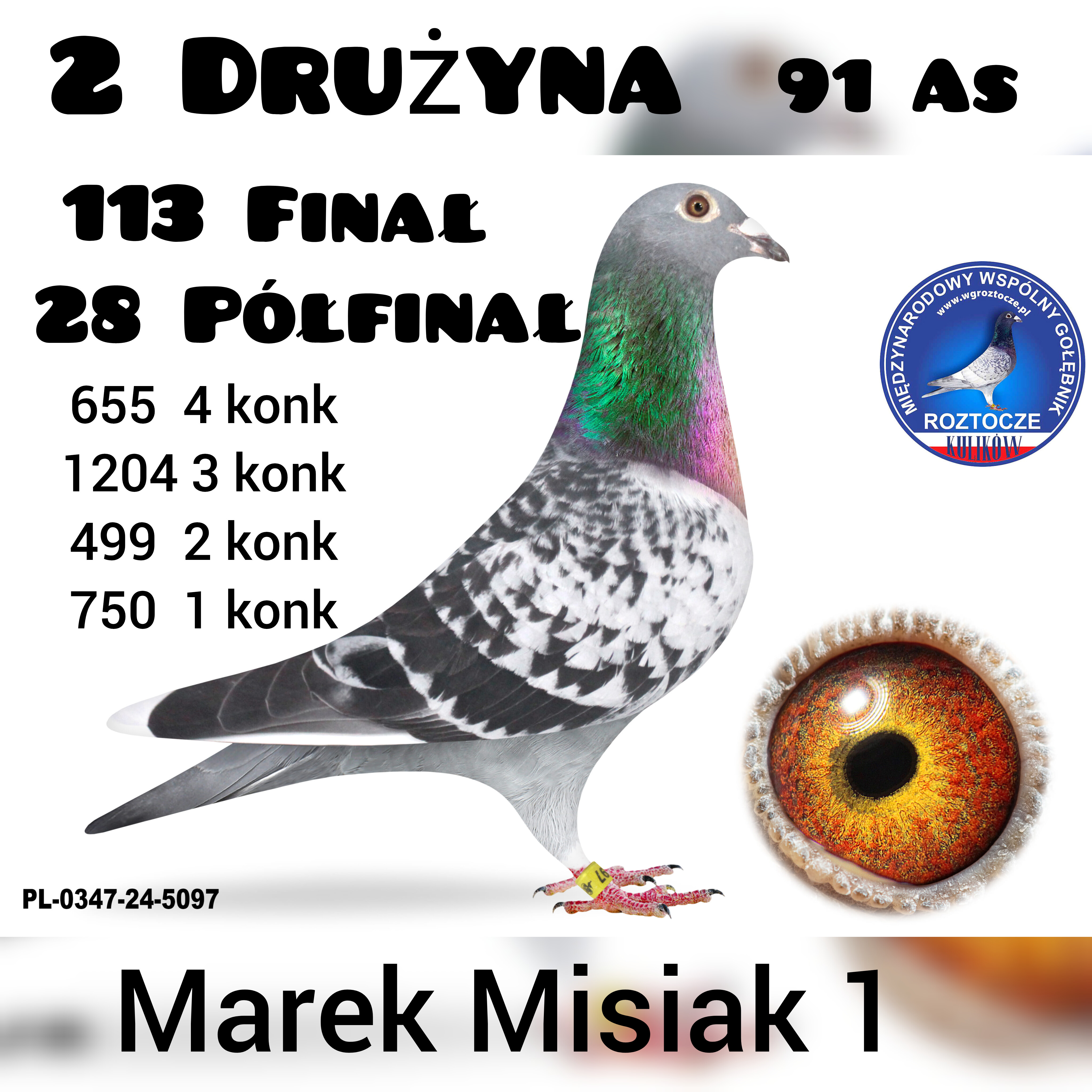 Gołąb z 2 Drużyny – Marek Misiak