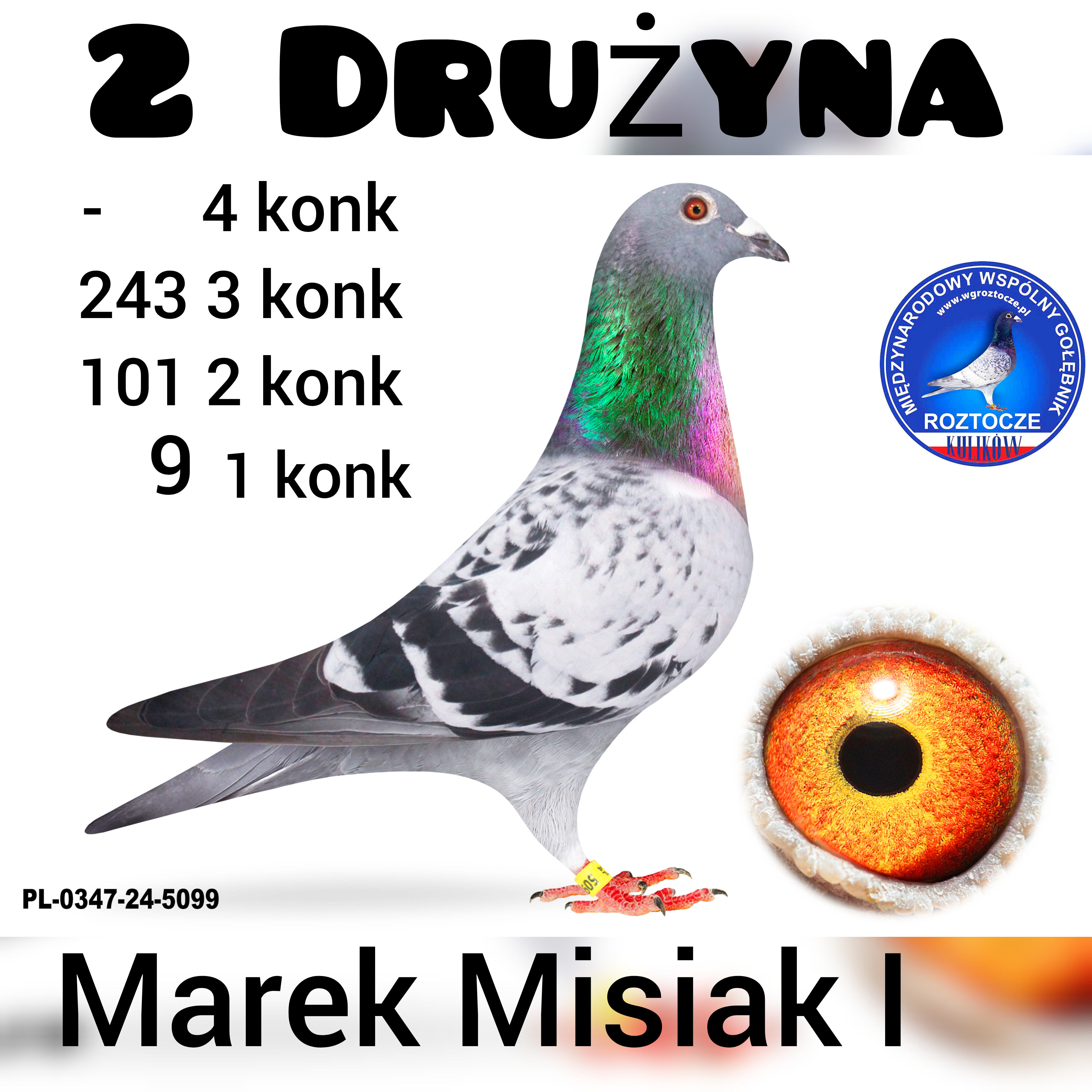 Gołąb z 2 Drużyny – Marek Misiak