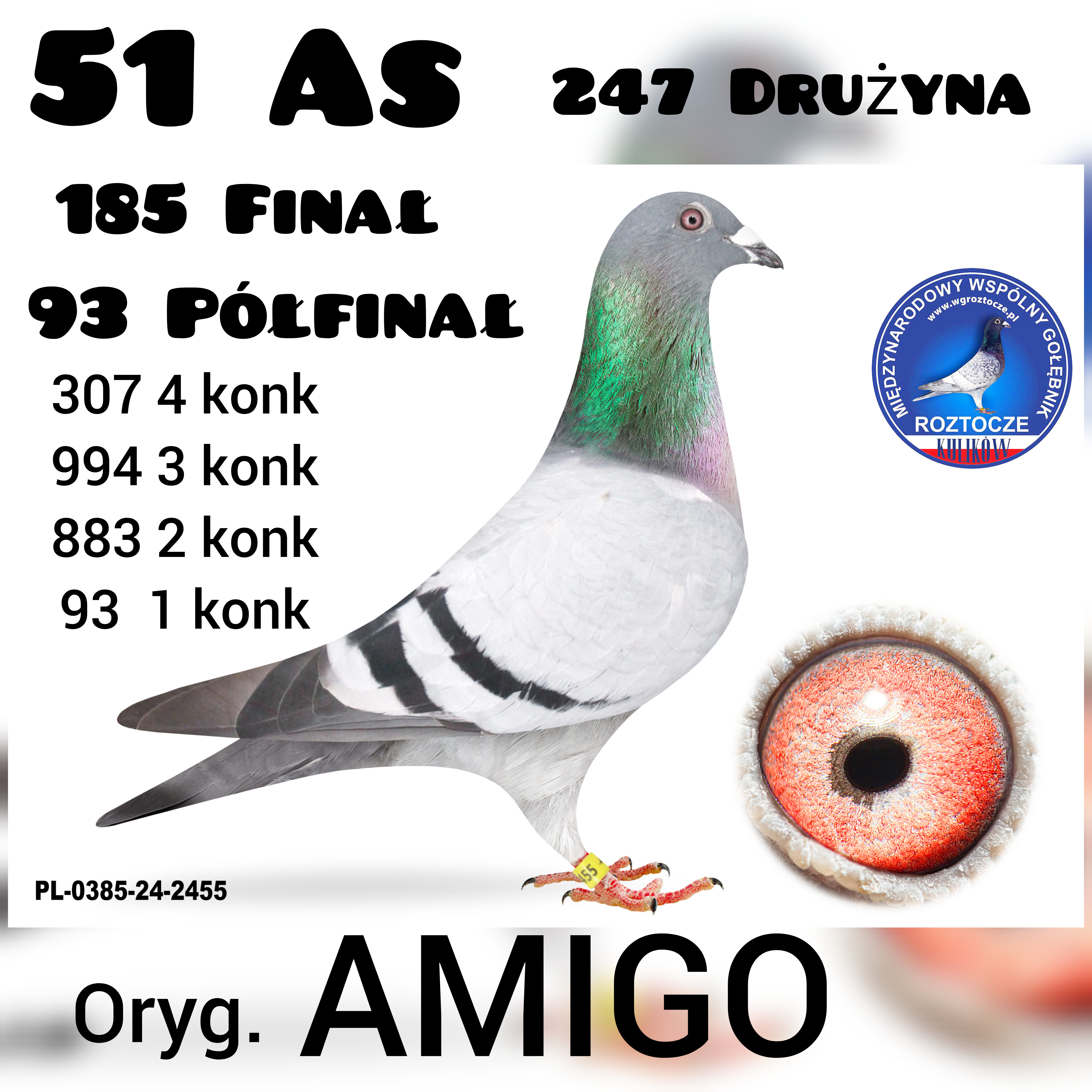 51 AS, 93 PÓŁFINAŁ- AMIGO