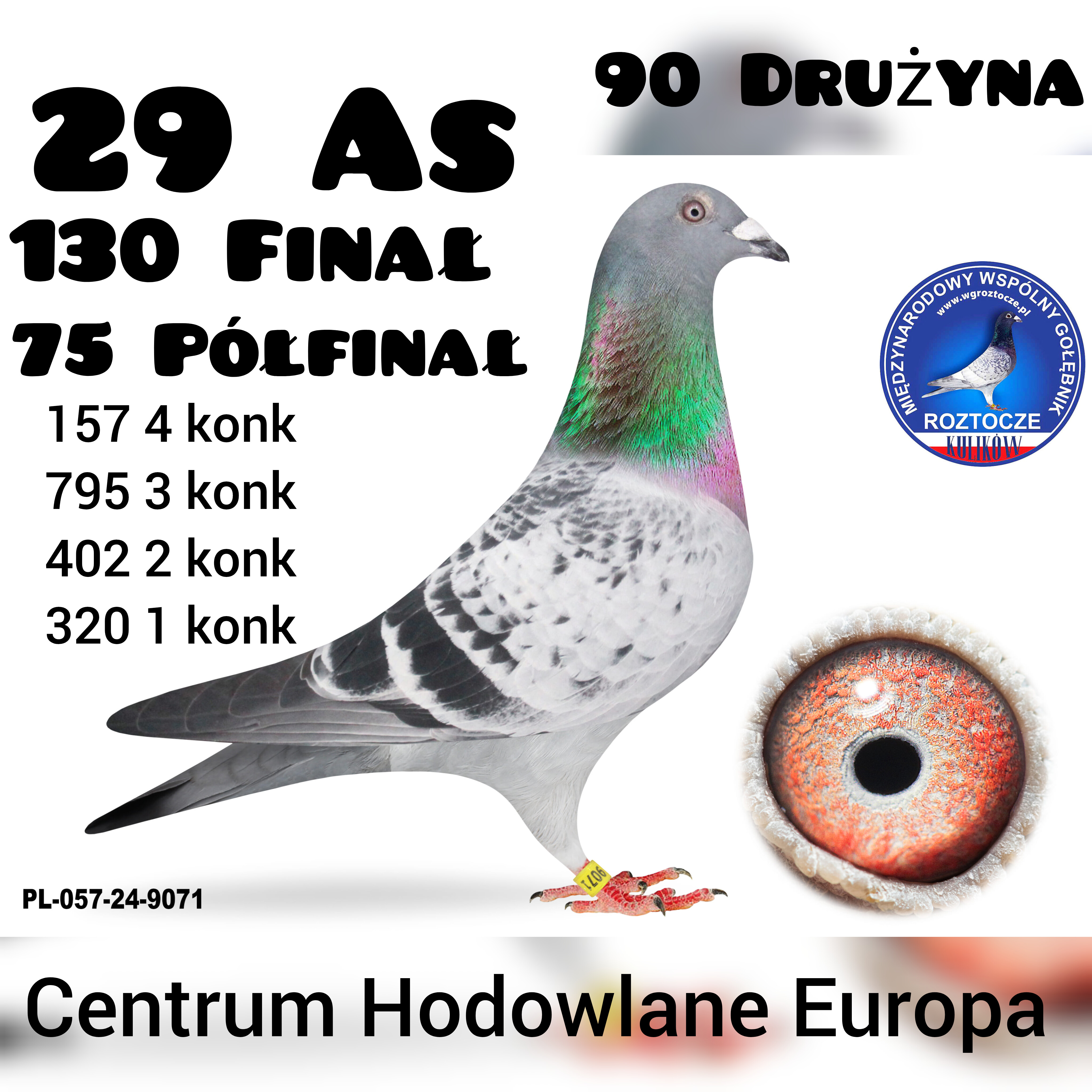 29 AS  CENTRUM HODOWLANE EUROPA