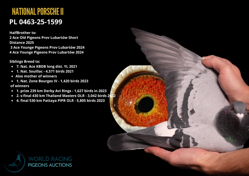 National Porsche II OLR Special