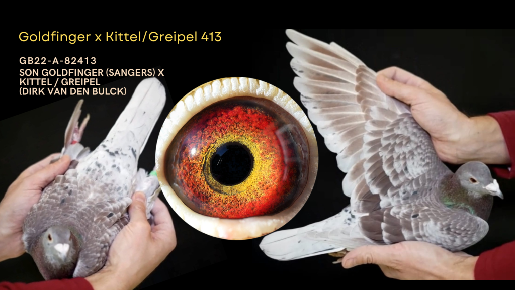 EXCLUSIVE OFFER: Ojciec 2 Asa Okręgu Lublin 2024 kat. A Ceof. 6,39