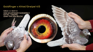 EXCLUSIVE OFFER: Ojciec 2 Asa Okręgu Lublin 2024 kat. A Ceof. 6,39