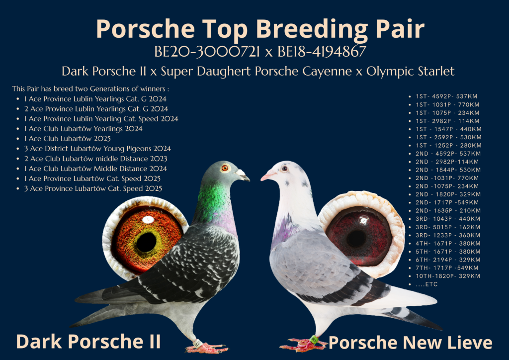 Hyper Exclusive Offer Porsche New Lieve x Dark Porsche II Top Breeding Pair