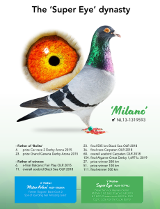 Unikat Gold Zagato Milano – Reijnen-Bolton OLR Special